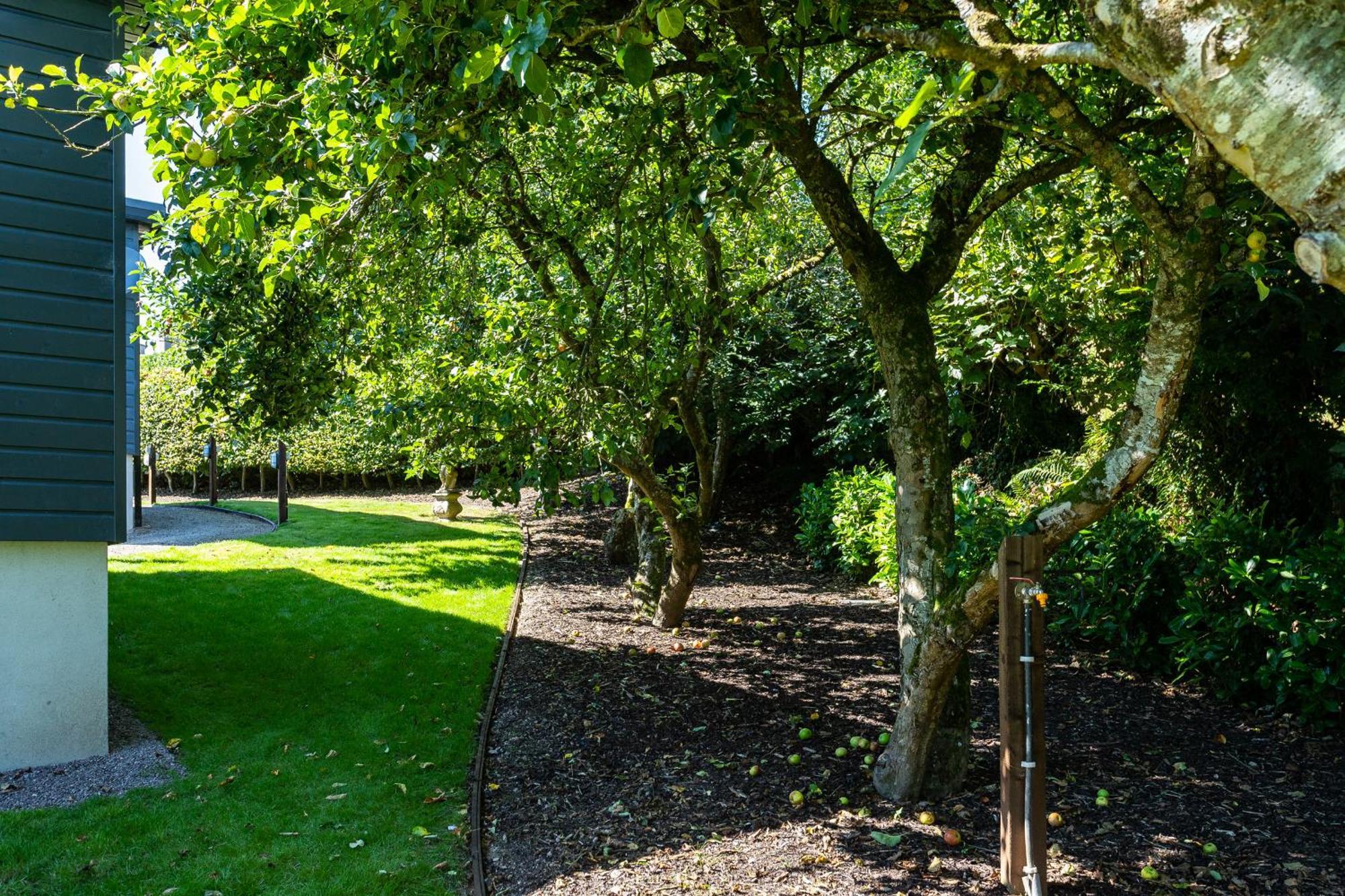 The Loft, Apple Lodge & Blossom Lodge Macroom Ngoại thất bức ảnh