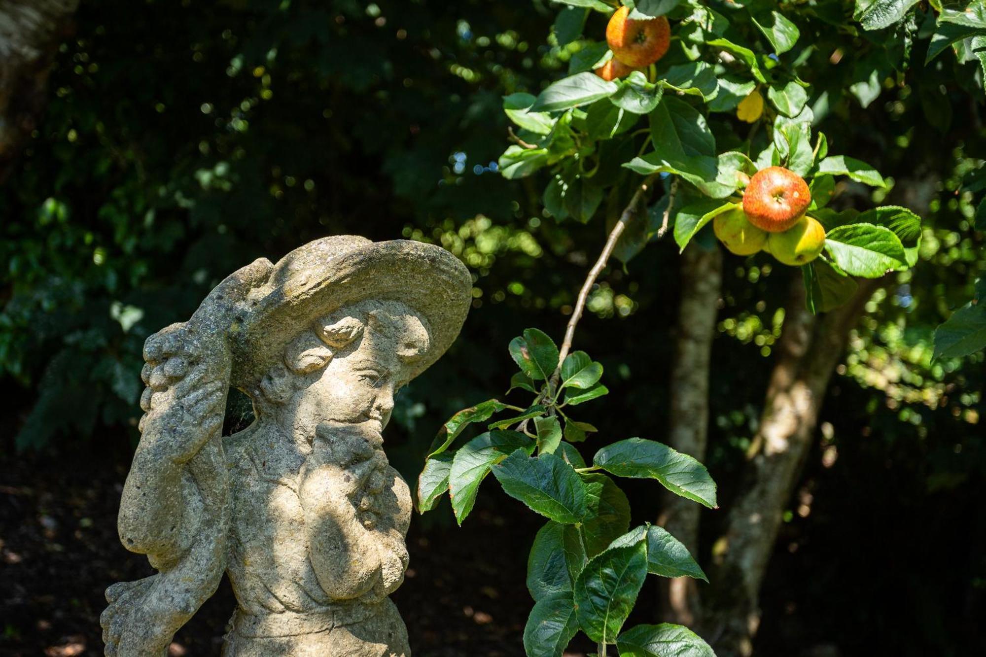 The Loft, Apple Lodge & Blossom Lodge Macroom Ngoại thất bức ảnh