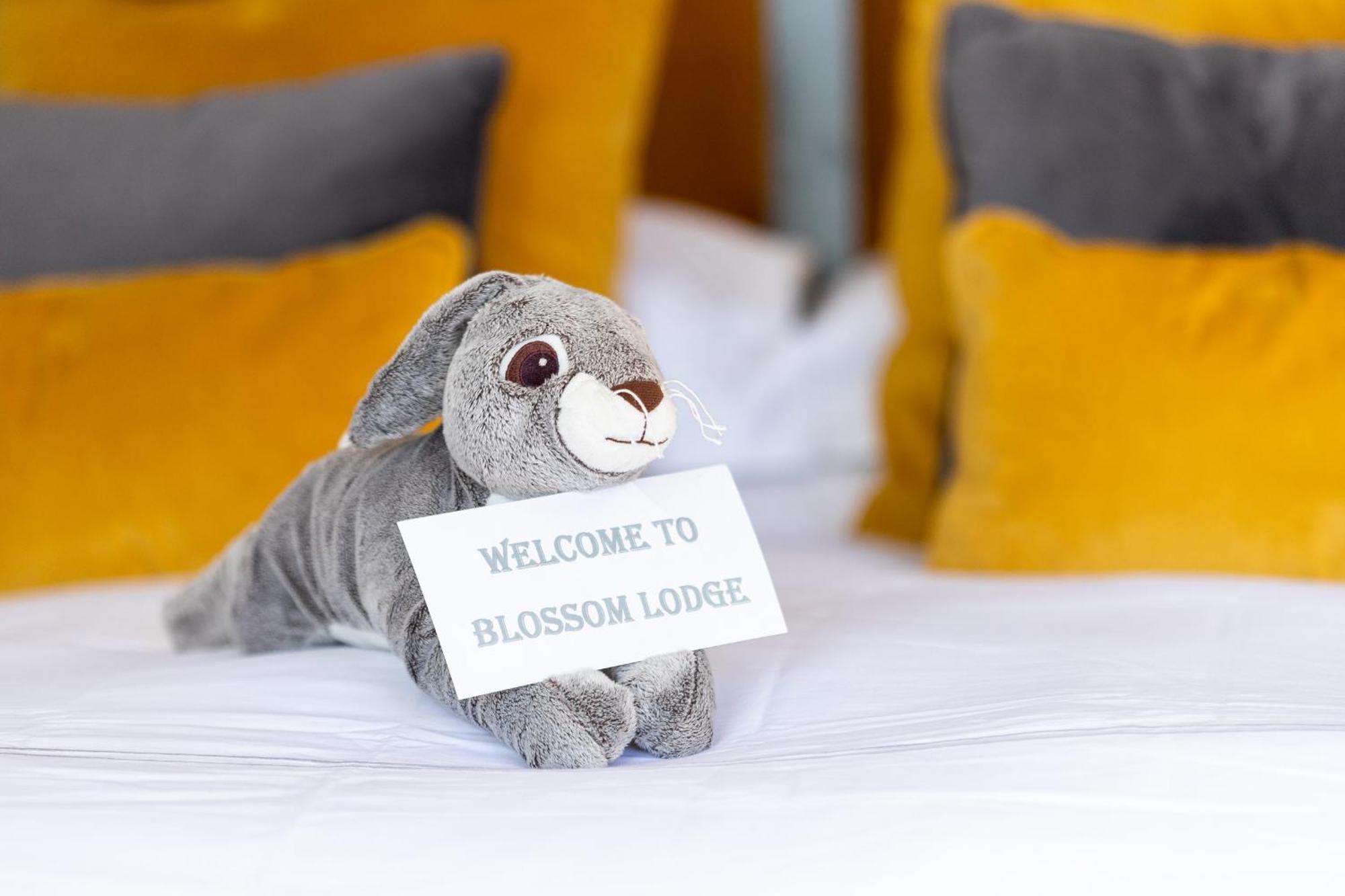 The Loft, Apple Lodge & Blossom Lodge Macroom Ngoại thất bức ảnh